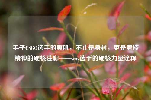 毛子CSGO选手的腹肌，不止是身材，更是竞技精神的硬核注脚——wnv选手的硬核力量诠释