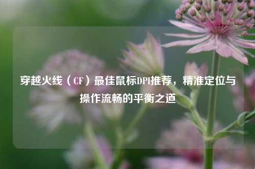 穿越火线（CF）更佳鼠标DPI推荐，精准定位与操作流畅的平衡之道