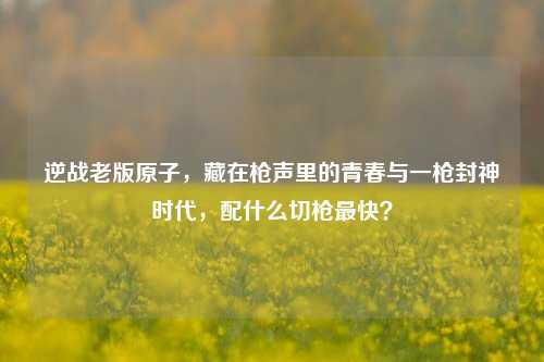 逆战老版原子，藏在枪声里的青春与一枪封神时代，配什么切枪最快？
