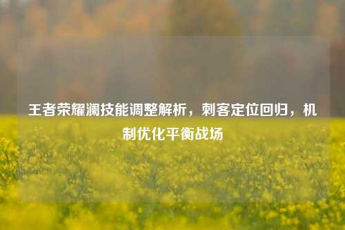 王者荣耀澜技能调整解析,刺客定位回归,机制优化平衡战场