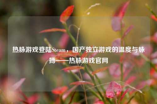 热脉游戏登陆Steam，国产独立游戏的温度与脉搏——热脉游戏官网
