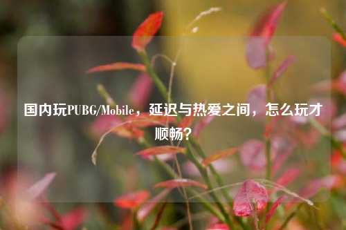 国内玩PUBG/Mobile，延迟与热爱之间，怎么玩才顺畅？