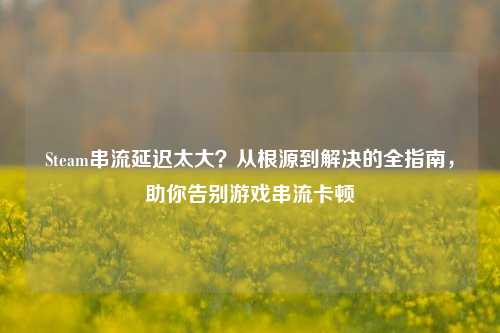 Steam串流延迟太大？从根源到解决的全指南，助你告别游戏串流卡顿