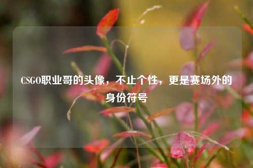 CSGO职业哥的头像，不止个性，更是赛场外的身份符号