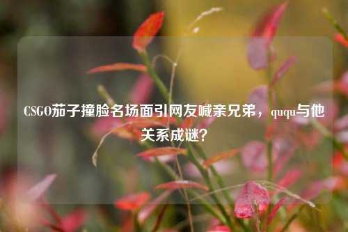 CSGO茄子撞脸名场面引网友喊亲兄弟,ququ与他关系成谜?