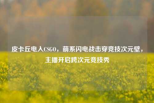 皮卡丘电入CSGO，萌系闪电战击穿竞技次元壁，主播开启跨次元竞技秀