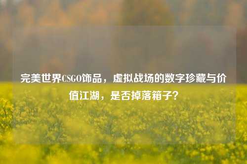 完美世界CSGO饰品，虚拟战场的数字珍藏与价值江湖，是否掉落箱子？