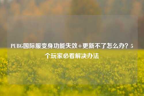 PUBG国际服变身功能失效+更新不了怎么办？5个玩家必看解决办法