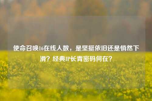 使命召唤16在线人数，是坚挺依旧还是悄然下滑？经典IP长青密码何在？