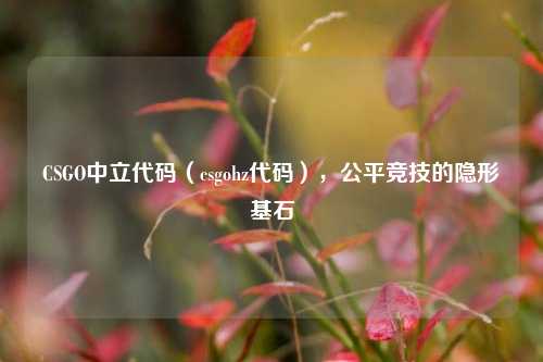 CSGO中立代码（csgohz代码），公平竞技的隐形基石