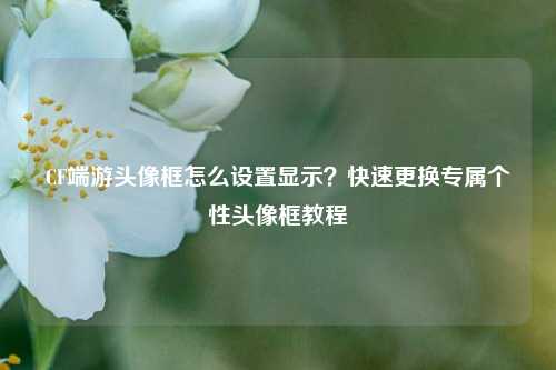 CF端游头像框怎么设置显示？快速更换专属个性头像框教程
