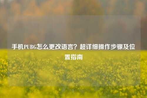 手机PUBG怎么更改语言？超详细操作步骤及位置指南