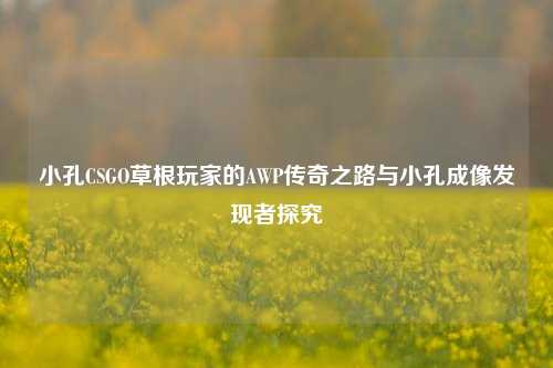 小孔CSGO草根玩家的AWP传奇之路与小孔成像发现者探究