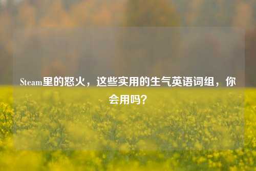 Steam里的怒火，这些实用的生气英语词组，你会用吗？