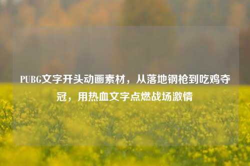 PUBG文字开头动画素材，从落地钢枪到吃鸡夺冠，用热血文字点燃战场***