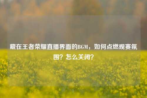 藏在王者荣耀直播界面的BGM，如何点燃观赛氛围？怎么关闭？
