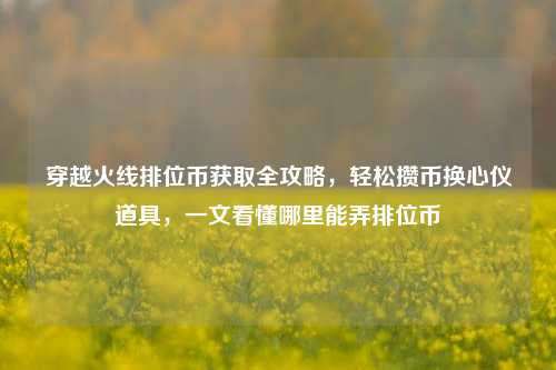 穿越火线排位币获取全攻略，轻松攒币换心仪道具，一文看懂哪里能弄排位币