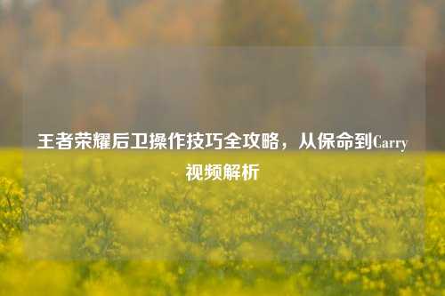 王者荣耀后卫操作技巧全攻略，从保命到Carry视频解析