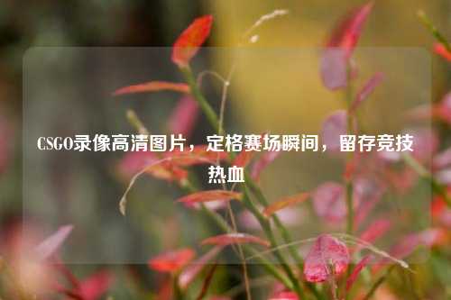 CSGO录像高清图片，定格赛场瞬间，留存竞技热血