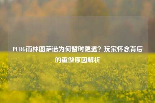 PUBG雨林图萨诺为何暂时隐退？玩家怀念背后的重做原因解析