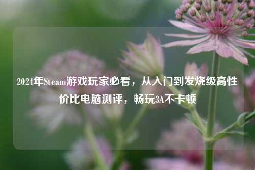 2024年Steam游戏玩家必看，从入门到发烧级高性价比电脑测评，畅玩3A不卡顿
