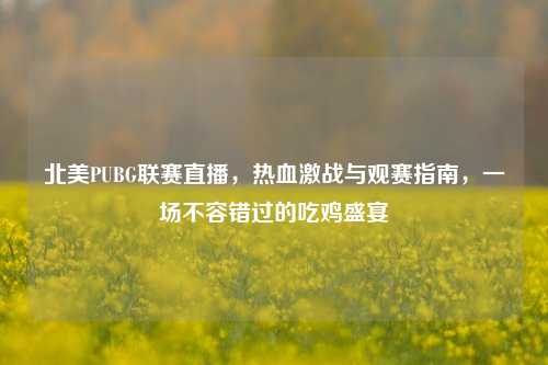 北美PUBG联赛直播，热血激战与观赛指南，一场不容错过的吃鸡盛宴