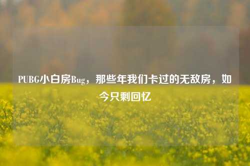 PUBG小白房Bug，那些年我们卡过的无敌房，如今只剩回忆