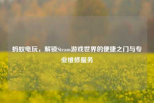 蚂蚁电玩，解锁Steam游戏世界的便捷之门与专业维修服务