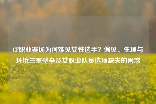 CF职业赛场为何难见女性选手？偏见、生理与环境三重壁垒及女职业队员选项缺失的困惑