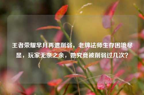 王者荣耀芈月再遭削弱，老牌法师生存困境尽显，玩家无奈之余，她究竟被削弱过几次？