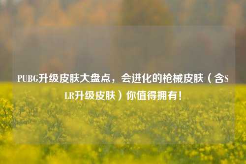 PUBG升级皮肤大盘点，会进化的枪械皮肤（含SLR升级皮肤）你值得拥有！