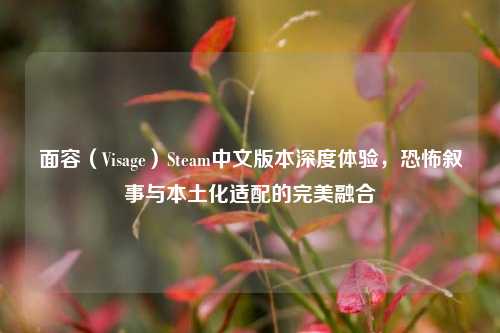 面容（Visage）Steam中文版本深度体验，恐怖叙事与本土化适配的完美融合