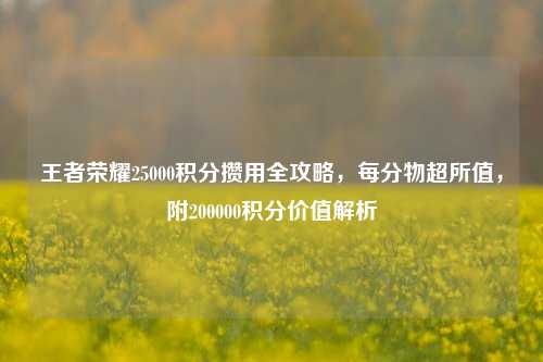 王者荣耀25000积分攒用全攻略，每分物超所值，附200000积分价值解析