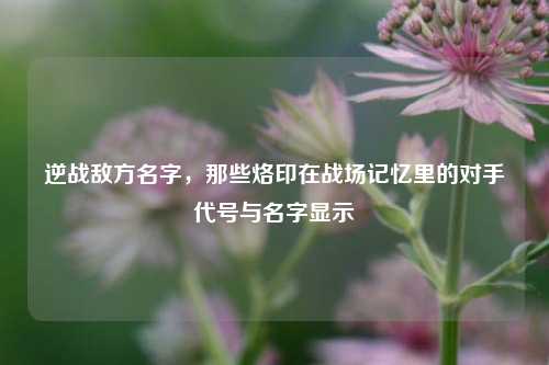 逆战敌方名字，那些烙印在战场记忆里的对手代号与名字显示