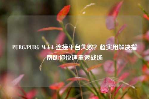 PUBG/PUBG Mobile连接平台失败？超实用解决指南助你快速重返战场