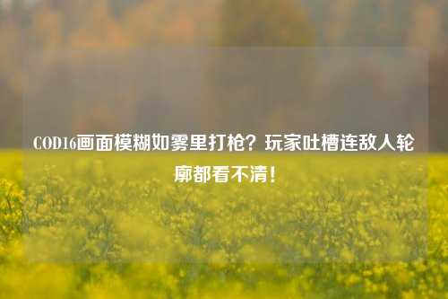 COD16画面模糊如雾里打枪？玩家吐槽连敌人轮廓都看不清！