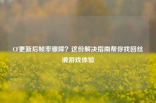 CF更新后帧率骤降？这份解决指南帮你找回丝滑游戏体验