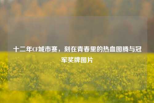 十二年CF城市赛，刻在青春里的热血图腾与冠军奖牌图片