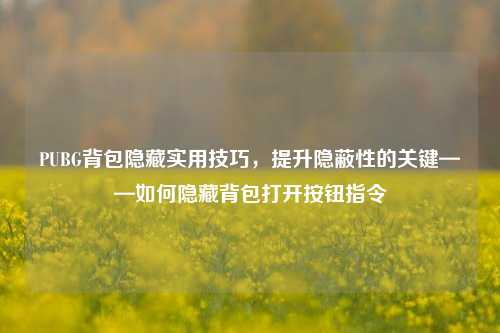 PUBG背包隐藏实用技巧，提升隐蔽性的关键——如何隐藏背包打开按钮指令