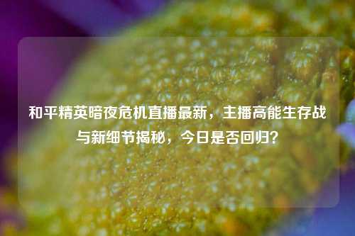 和平精英暗夜危机直播最新，主播高能生存战与新细节揭秘，今日是否回归？