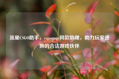 流星CSGO助手，csgoququ同款助理，助力玩家进阶的合法游戏伙伴