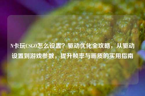 N卡玩CSGO怎么设置？驱动优化全攻略，从驱动设置到游戏参数，提升帧率与画质的实用指南