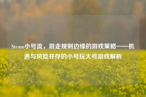 Steam小号流，游走规则边缘的游戏策略——机遇与风险并存的小号玩大号游戏解析