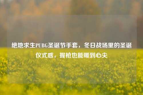 绝地求生PUBG圣诞节手套，冬日战场里的圣诞仪式感，握枪也能暖到心尖