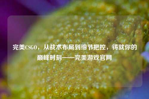 完美CSGO，从战术布局到细节把控，铸就你的巅峰时刻——完美游戏官网