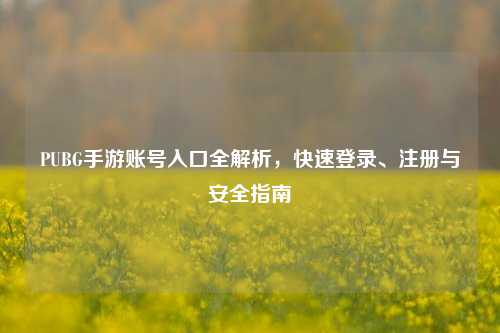 PUBG手游账号入口全解析，快速登录、注册与安全指南