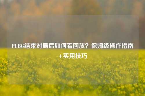 PUBG结束对局后如何看回放？保姆级操作指南+实用技巧