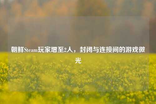 朝鲜Steam玩家增至2人，封闭与连接间的游戏微光