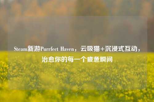 Steam新游Purrfect Haven，云吸猫+沉浸式互动，治愈你的每一个疲惫瞬间