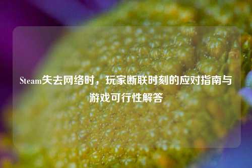 Steam失去 *** 时，玩家断联时刻的应对指南与游戏可行性解答